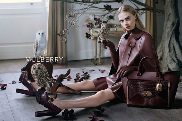 Mulberry